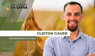 Cleiton Gauer - Superintendente do Imea