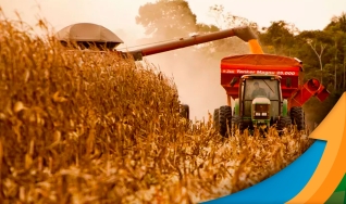 Nivaldo Forastieri - Produtor Rural e Diretor da Foraster Agro
