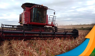 Edivaldo de Jesus Manttuy - Produtor Rural e Membro da Aprosoja SP