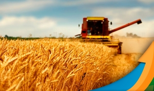 Carlos Hugo Godinho - Engenheiro Agrônomo do Deral