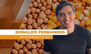 Ronaldo Fernandes - Analista de Mercado Royal Rural