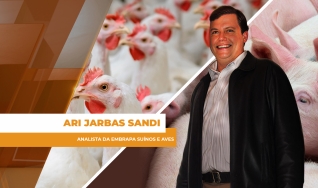 Ari Jarbas Sandi - Analista da Embrapa Suínos e Aves