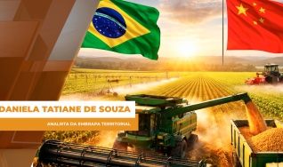 Daniela Tatiane de Souza - Analista da Embrapa Territorial