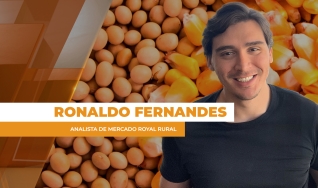 Ronaldo Fernandes - Analista de Mercado Royal Rural