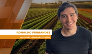 Ronaldo Fernandes - Analista de Mercado Royal Rural