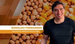Ronaldo Fernandes - Analista de Mercado Royal Rural