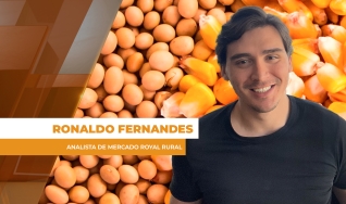Ronaldo Fernandes