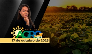 Bom Dia Agro - com Andressa Simão