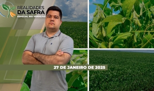 Realidades da Safra - Notícias Agrícolas