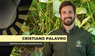 Cristiano Palavro - Diretor da Pátria Agronegócios