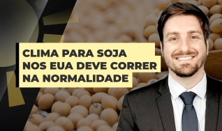Cristiano Palavro - Diretor da Pátria Agronegócios