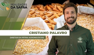 Cristiano Palavro - Diretor da Pátria Agronegócios