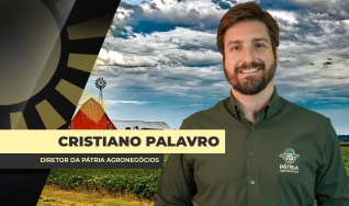 Cristiano Palavro - Diretor da Pátria Agronegócios