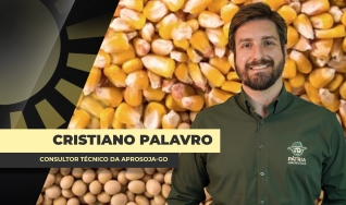 Cristiano Palavro Consultor Técnico da Aprosoja-GO