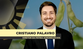 Cristiano Palavro - Diretor da Pátria Agronegócios