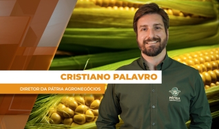 Cristiano Palavro - Diretor da Pátria Agronegócios