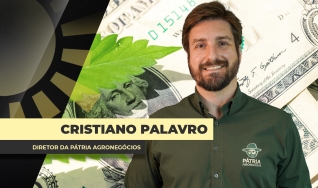 Cristiano Palavro