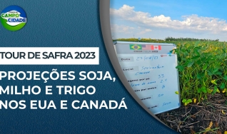 Conexão Campo Cidade