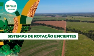 André Somavilla Coord. de Pesquisa - Ctecno Araguaia