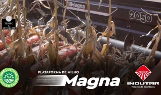 Tempo  & Dinheiro - Marcas e Máquinas, com Frederico Olivi