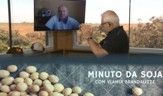 Tempo  & Dinheiro - Minuto da Soja, com Vlamir Brandalizze