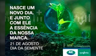 Tatiana Cunha - Gerente de branding da marca NK da Syngenta