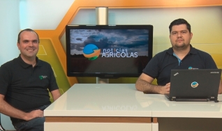 Flávio Marques - Diretor executivo da Geração Agro