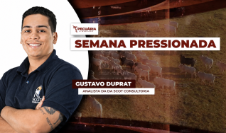 Gustavo Duprat - Analista da da Scot Consultoria