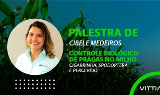 Cibele Medeiros - Palestra