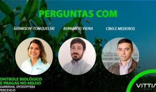 Vittia - Perguntas finais