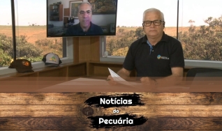Tempo  & Dinheiro - Notícias da Pecuária, com Sérgio Braga