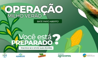 Operação Milho Verão - Bayer
