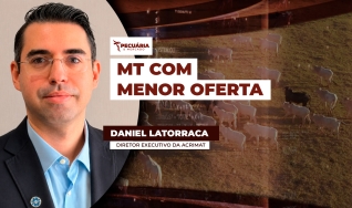 Daniel Latorraca - Diretor Executivo da Acrimat