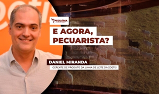 Daniel Miranda