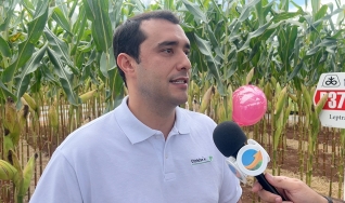 Dante Queiroz