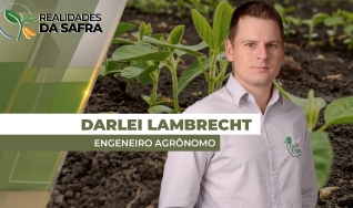 Darlei Lambrecht - Engenheiro Agrônomo