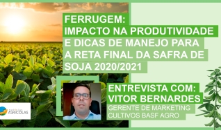 Vitor Bernardes - Gerente de Marketing cultivos e portfólio BASF