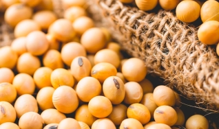 Eduardo Vanin - Analista de Mercado da Agrinvest