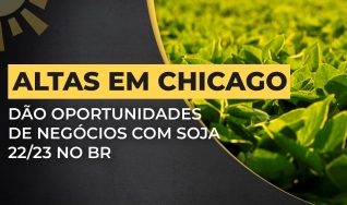 Aaron Edwards - Consultor de Mercado da Roach Ag Marketing
