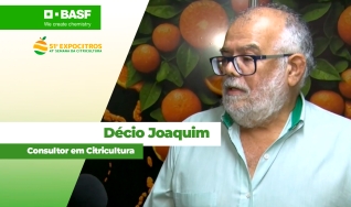 Décio Joaquim - Consultor em Citricultura