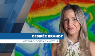 Desirée Brandt - Meteorologista da Nottus