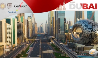 Missão Dubai