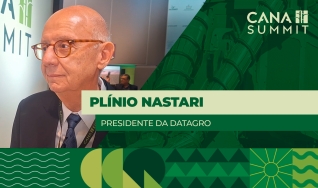 Plínio Nastari