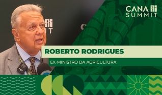 Roberto Rodrigues