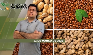 Realidades da Safra - Notícias Agrícolas
