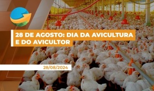 José Antônio Ribas - Vice-Presidente da Sindiavipar