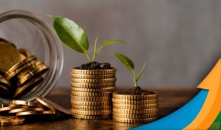 Luiz Antonio Digiovani - Consultor em Seguros Agrícolas