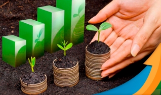 Janio Zeferino da Silva - Diretor da AgroEasy Consultoria & Soluções Financeiras