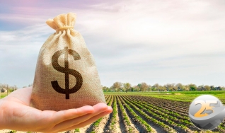 Ademiro Vian e  Jânio Zeferino da Silva - Dir. Executivo do Seges Agronegócio  e Dir. da AgroEasy Consultoria