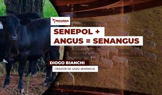 Diogo Bianchi - Criador de Gado Senângus